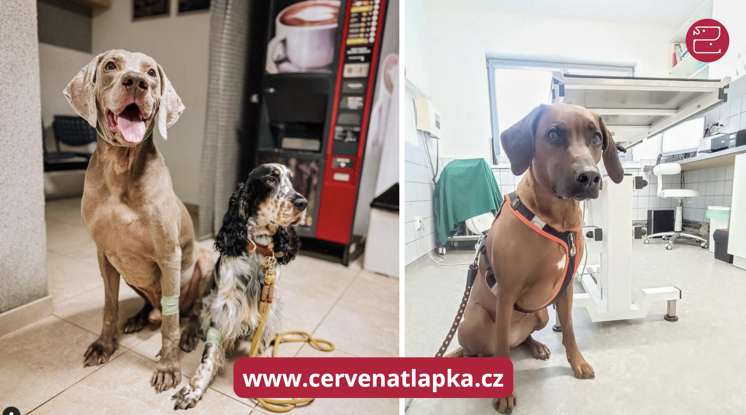 Snímek obrazovky 2025-12-09 v 22.01.14